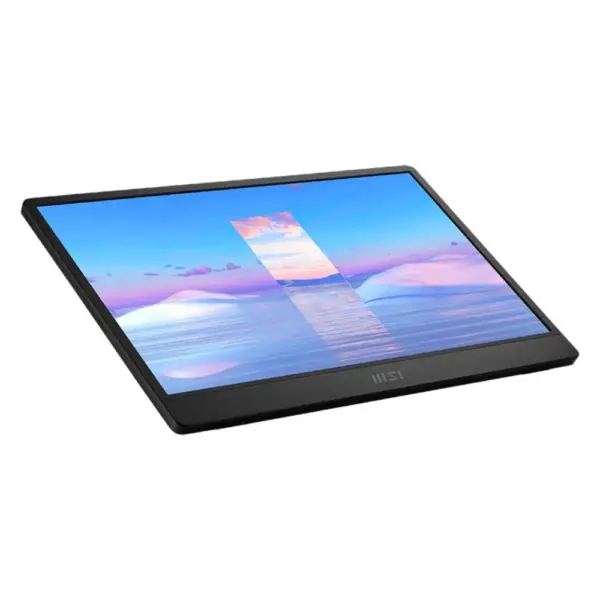 MSI Portable PRO MP161 (IPS 60Hz USB-C)