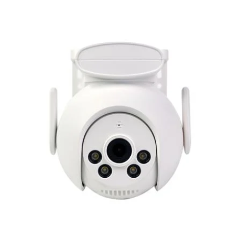 26062024_1260034Imagec1